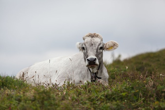 Nicole Priest-Oeschinensee River-August 2014-94 copy