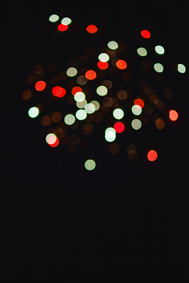 Nicole Priest-Swiss National Day-Sierro-17 copy