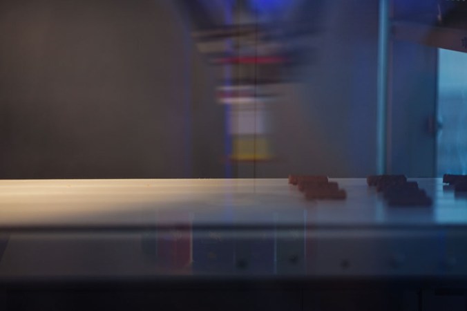 Nicole Priest-Gruyeres-Switzerland-26 copy