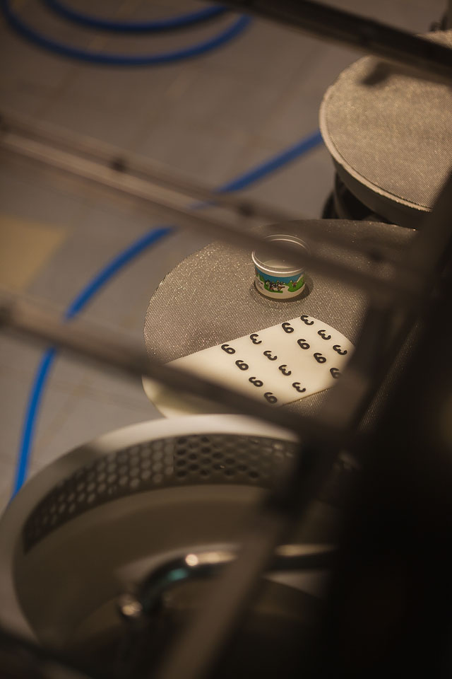 Nicole Priest-Gruyeres-Switzerland-57 copy