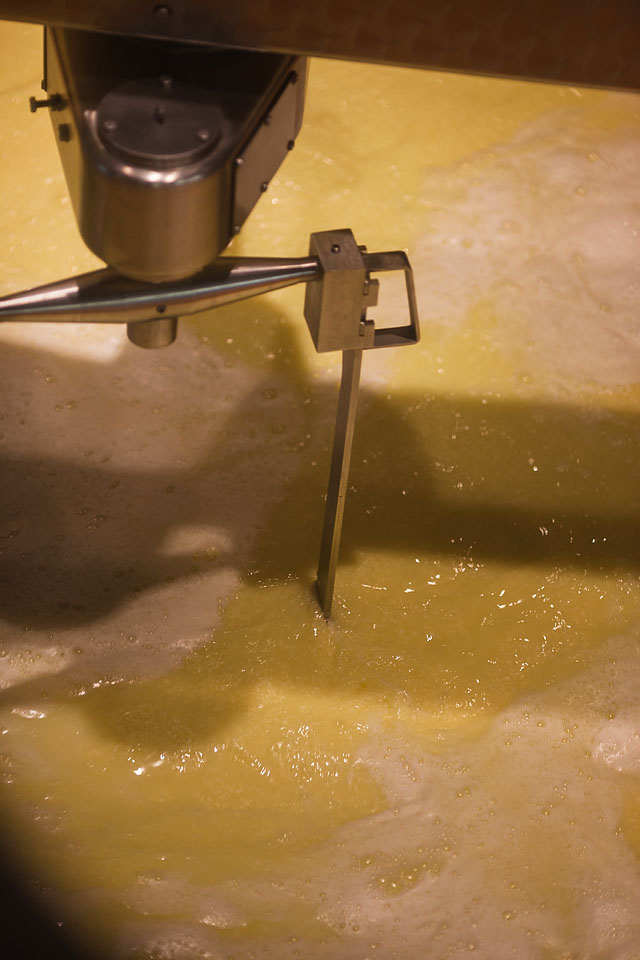 Nicole Priest-Gruyeres-Switzerland-62 copy