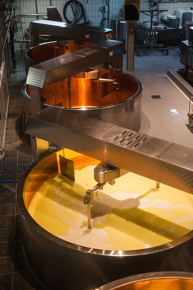 Nicole Priest-Gruyeres-Switzerland-65 copy