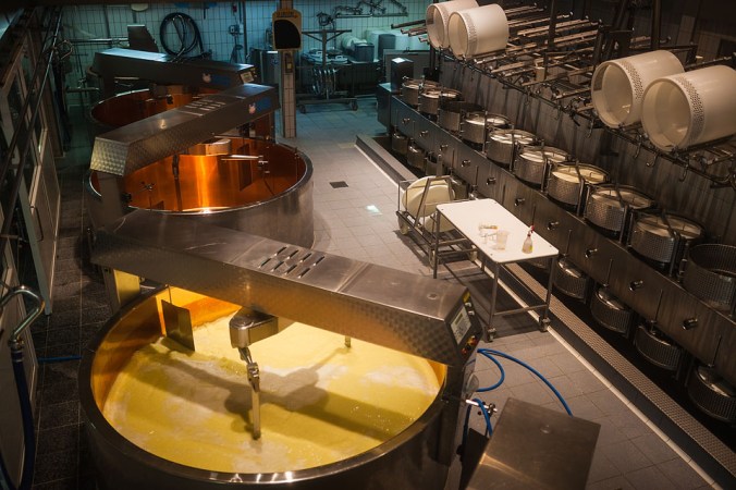 Nicole Priest-Gruyeres-Switzerland-67 copy