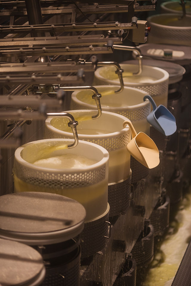 Nicole Priest-Gruyeres-Switzerland-69 copy