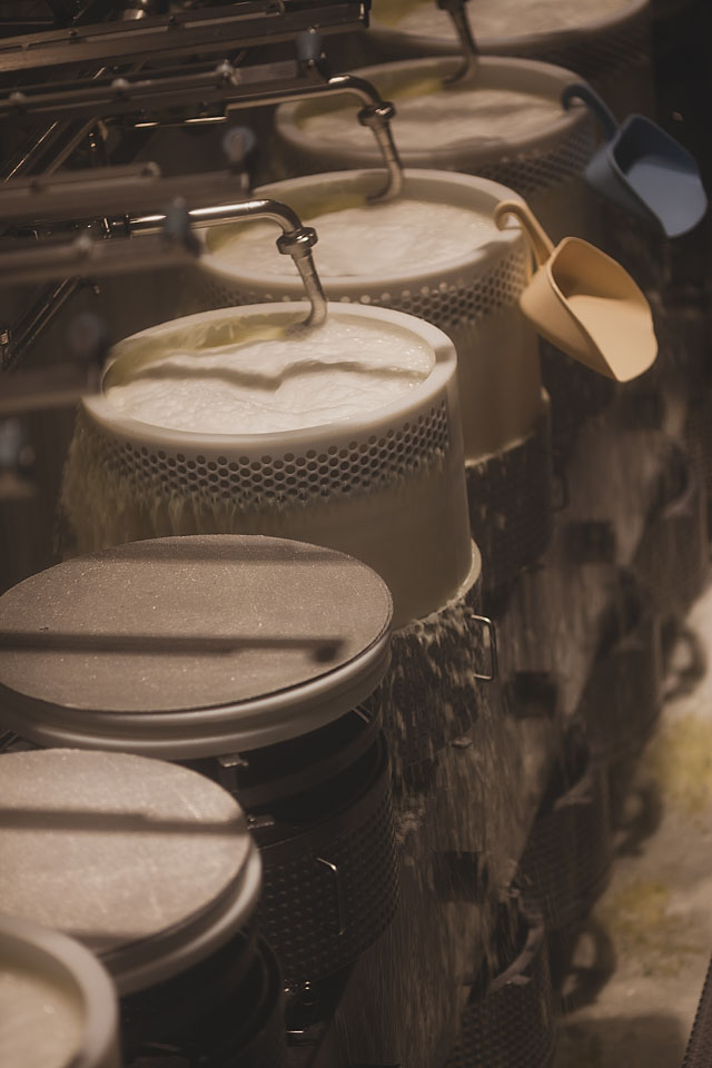 Nicole Priest-Gruyeres-Switzerland-71 copy