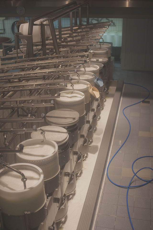 Nicole Priest-Gruyeres-Switzerland-72 copy