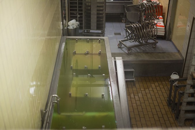 Nicole Priest-Gruyeres-Switzerland-73 copy