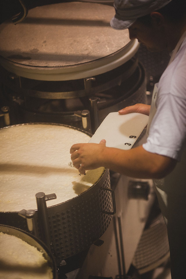 Nicole Priest-Gruyeres-Switzerland-82 copy