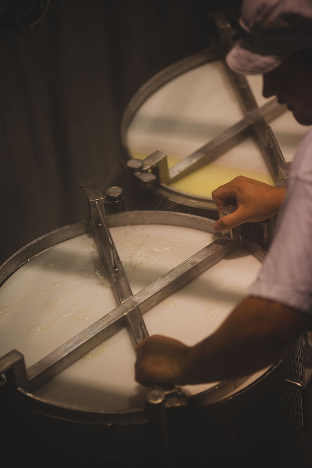 Nicole Priest-Gruyeres-Switzerland-84 copy