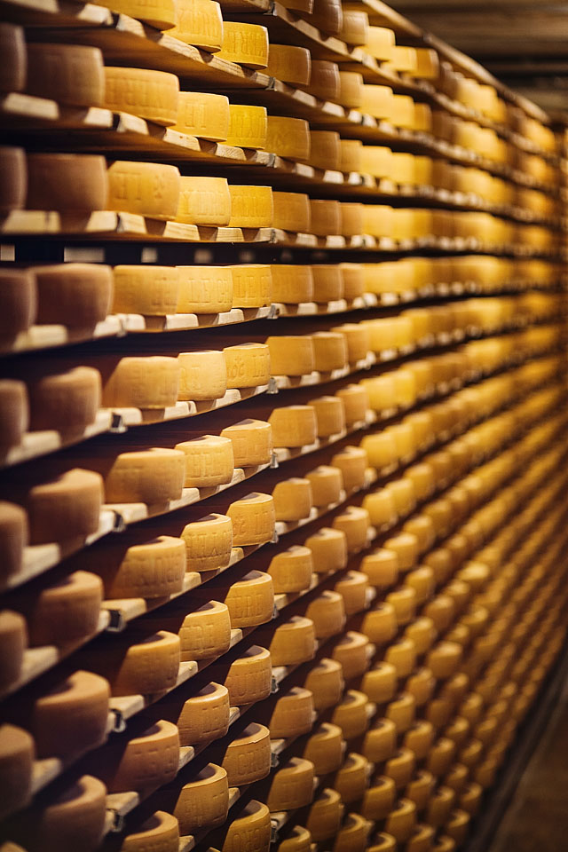 Nicole Priest-Gruyeres-Switzerland-90 copy